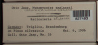 Image Associated With the Occurence